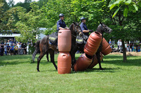 Pokaz koni policyjnych