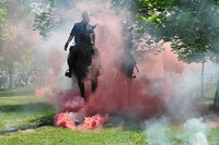 Pokaz koni policyjnych