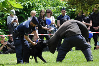 Pokaz tresury psa policyjnego